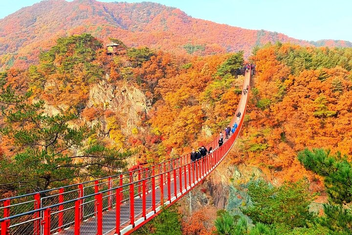 Experience stunning views from a 150m suspension bridge surrounded by autumn hues and nature’s beauty making for an unforgettable day in Seoul's remarkable landscape.